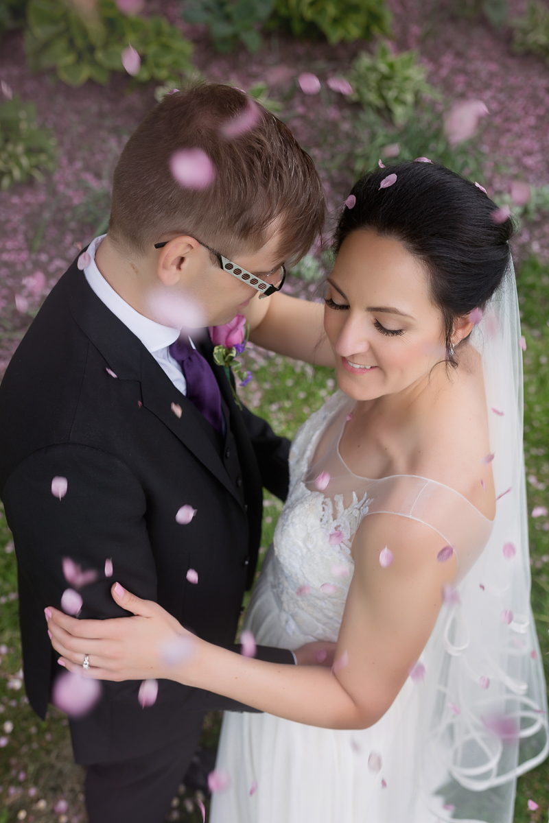Cherry Blossoms falling from tree onto wedding bride and groom in Buffalo NY